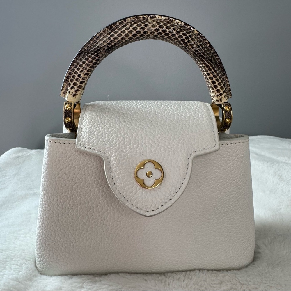 Louis Vuitton Taurillon & Python Leather Capucines Mini Handbag - Picture 11 of 16